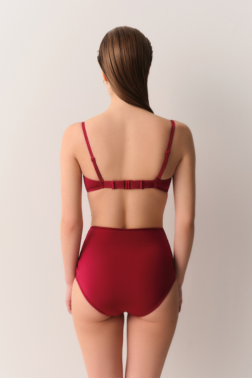 Burgundy High Waist Straps Colour Bikini Bottom
