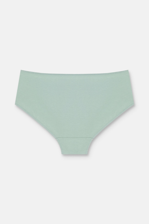 Çağla Yeşili / Gri / Vizon 3'lü Pamuklu Basic Yüksek Bel Slip Külot