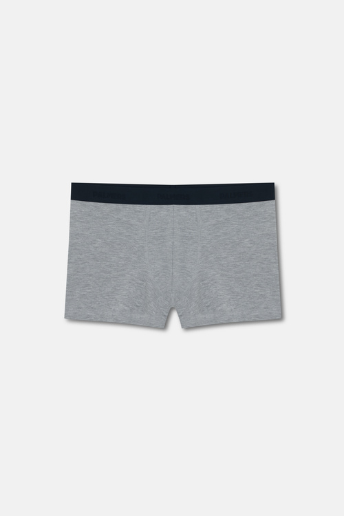 Gri Authantic Erkek Mikro Modal Boxer