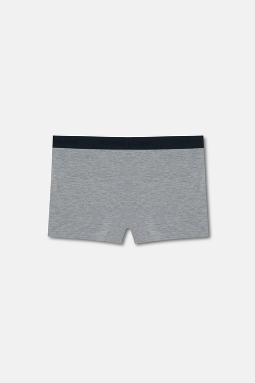 Gri Authantic Erkek Mikro Modal Boxer
