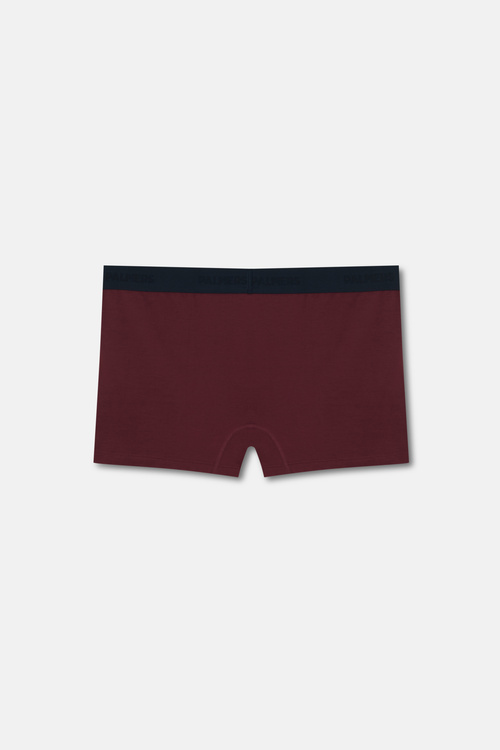 Bordo Authantic Erkek Mikro Modal Boxer