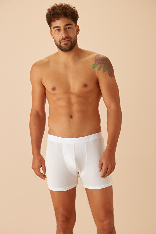 Beyaz Erkek Boxer