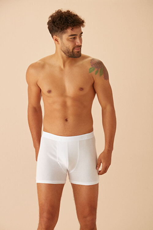 Beyaz Erkek Boxer