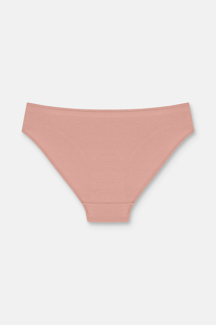 Ten / Kahverengi / Pembe 3'lü Pamuklu Basic Normal Bel Slip Külot