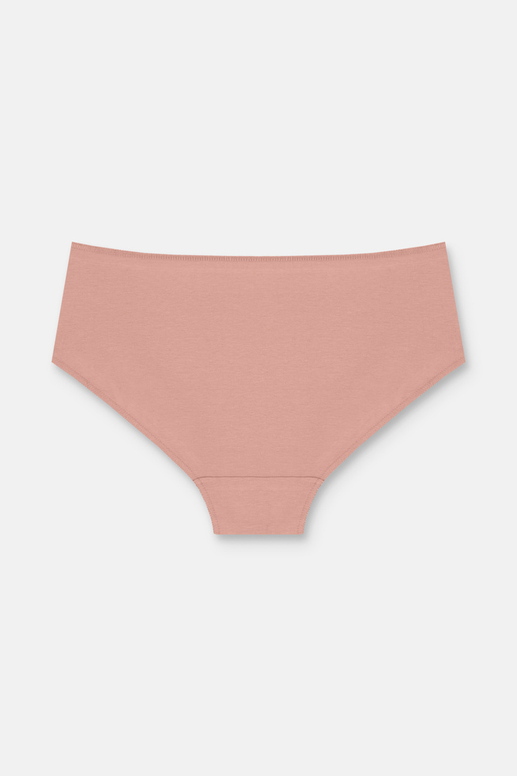 Ten / Kahverengi / Pembe 3'lü Pamuklu Basic Yüksek Bel Slip Külot