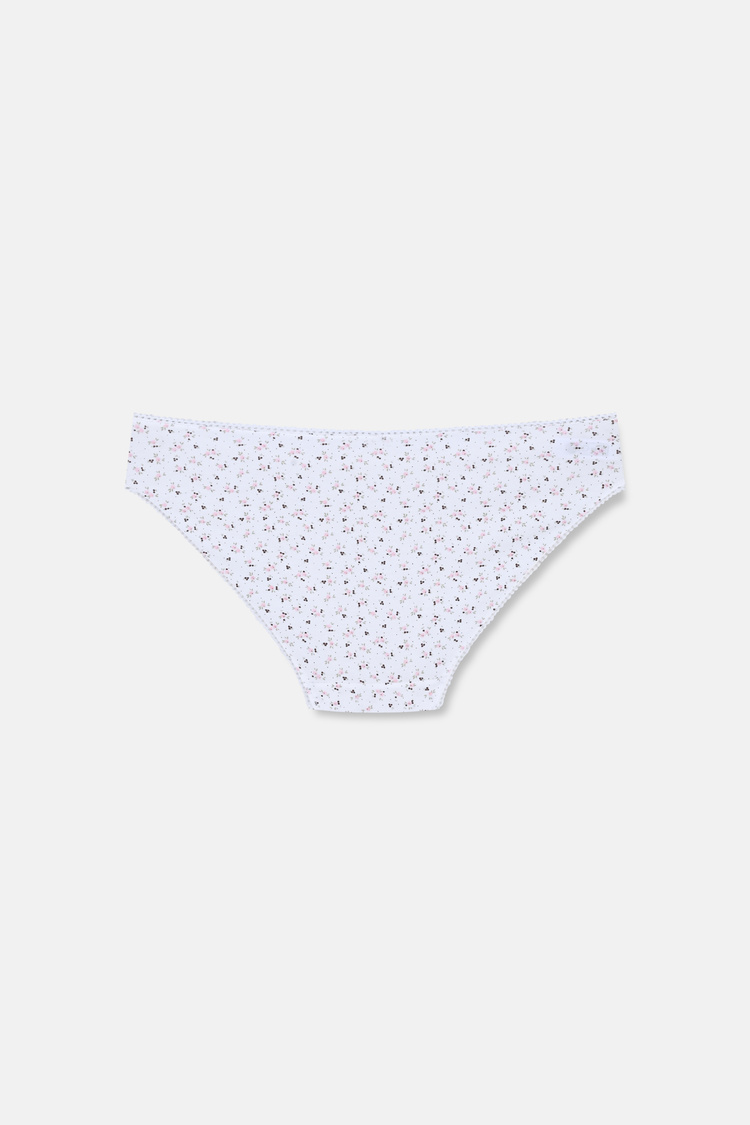 Kahverengi Desenli 3'lü Pamuklu Desenli Normal Bel Slip Külot