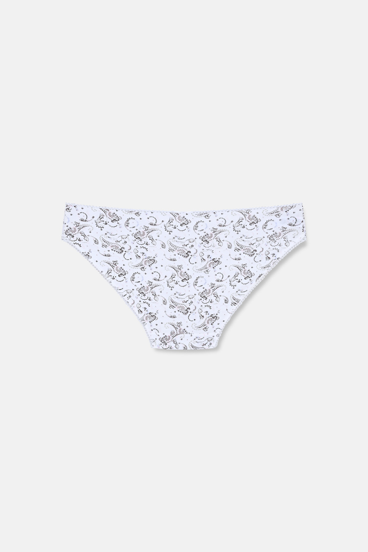 Kahverengi Desenli 3'lü Pamuklu Desenli Normal Bel Slip Külot