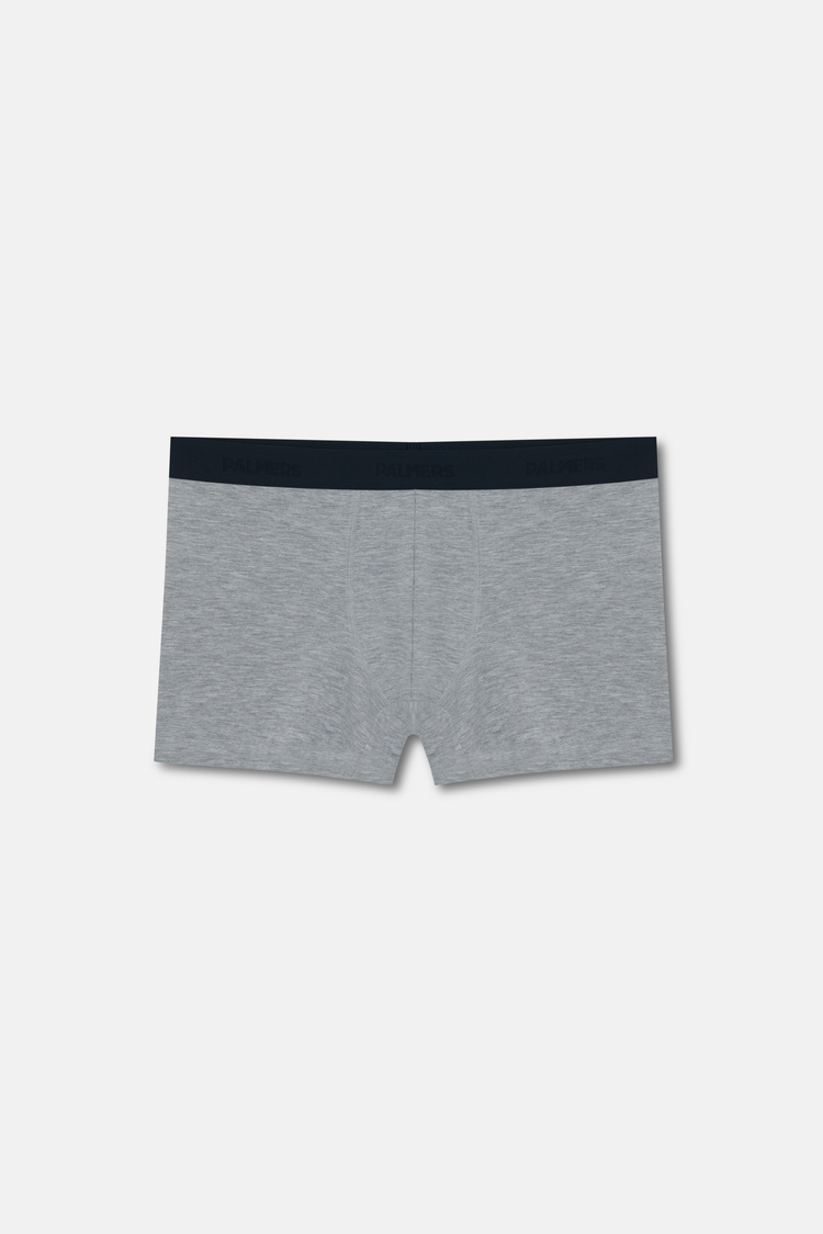 Gri Authantic Erkek Mikro Modal Boxer