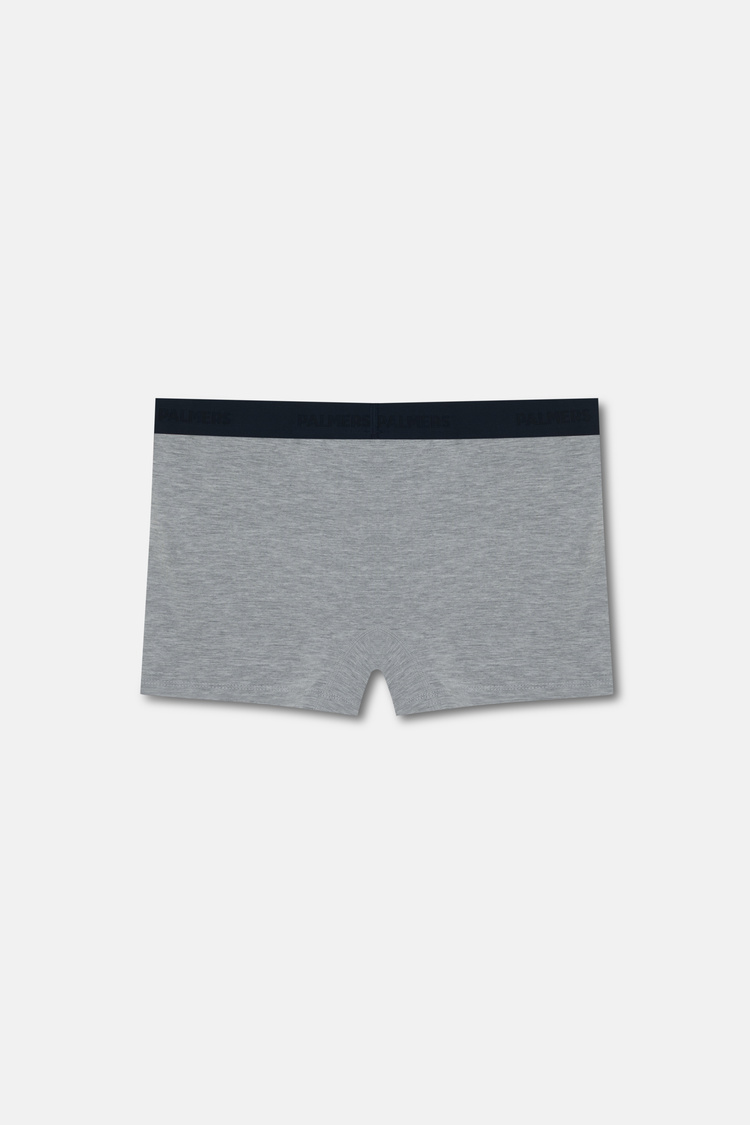 Gri Authantic Erkek Mikro Modal Boxer