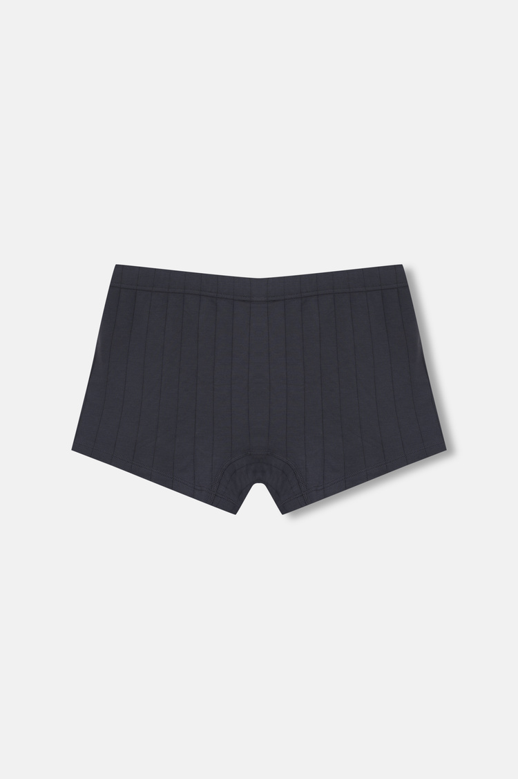 Gri / Antrasit Success Erkek Modal Boxer